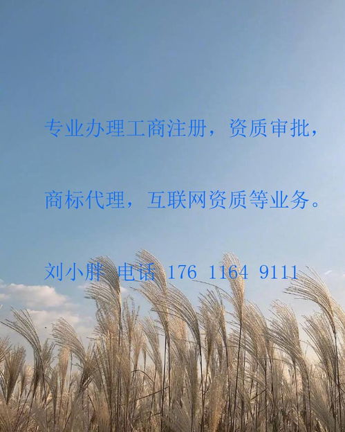 豐臺成壽寺辦理網(wǎng)絡文化經(jīng)營許可證（文網(wǎng)文）條件及加急服務指南